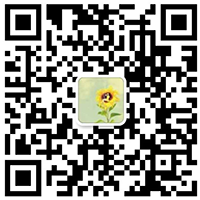 333体育-(中国)有限公司App Store